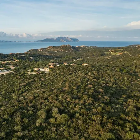 Aurazure By Klodge *